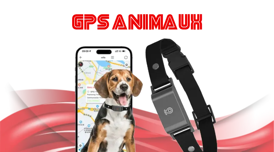 GPS Animaux